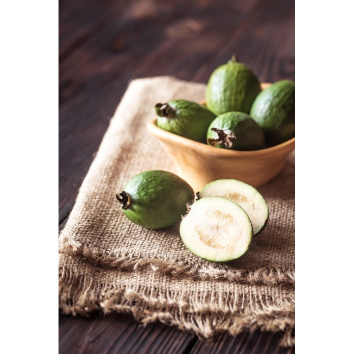 Feijoa - Graines