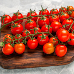 Tomate cerise rouge - Graines