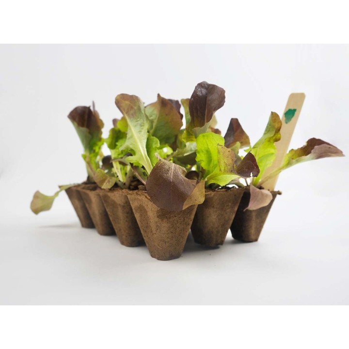 Plateaux de semis fibre naturelle NATTRAY 12