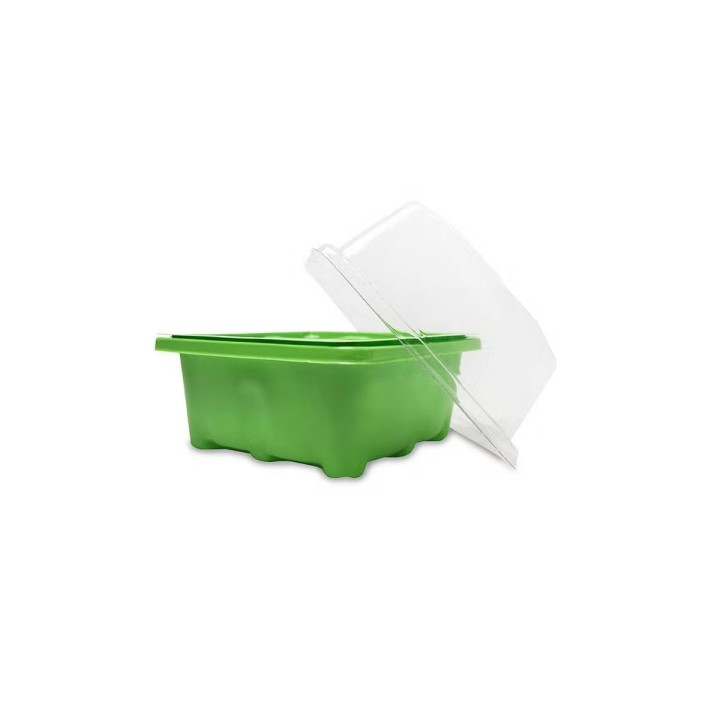 Mini serre 9 cellules SPOROHOUSE 9