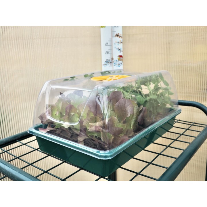 Mini serre XS GREENHOUSE