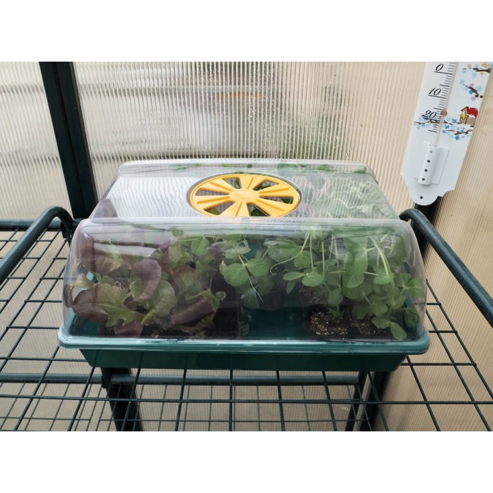 Mini serre XS GREENHOUSE