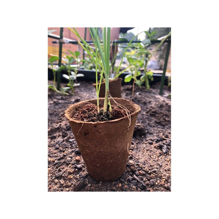 Pots ronds fibre naturelle Ø6 cm NATPOT RS