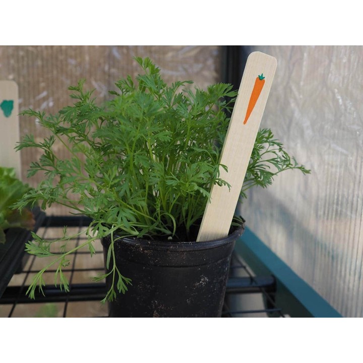Étiquettes bambou carotte SEED ME CARROT