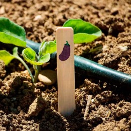 Étiquettes bambou aubergine SEED ME EGGPLANT