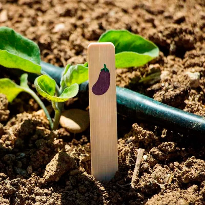 Étiquettes bambou aubergine SEED ME EGGPLANT