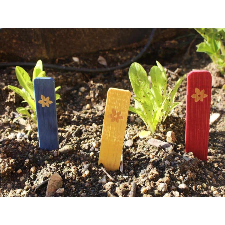 Étiquettes de bambou colorées SEED ME COLORS