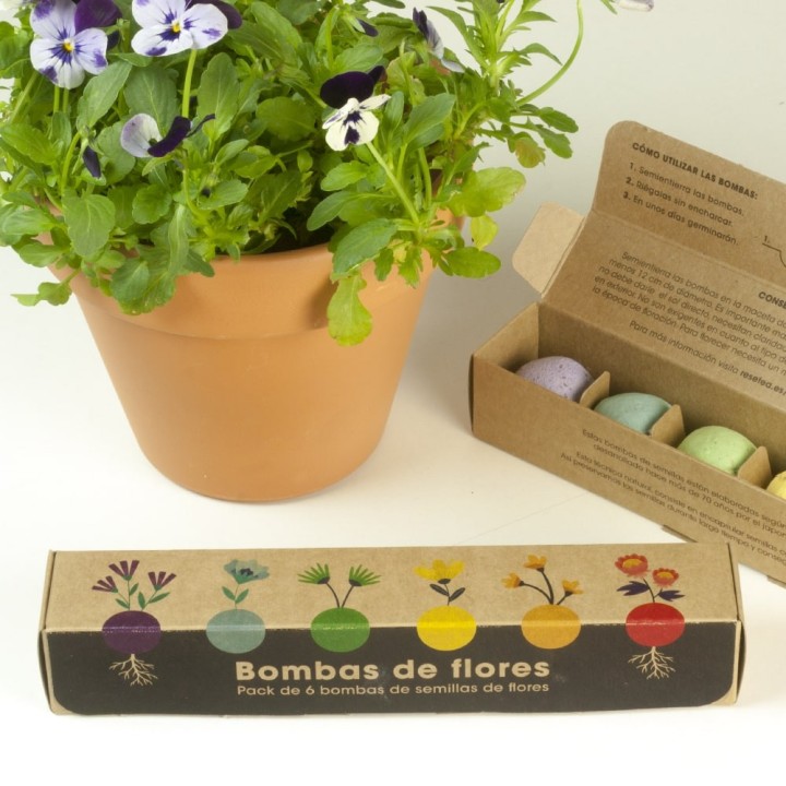 Pack 6 bombes de graines de fleurs