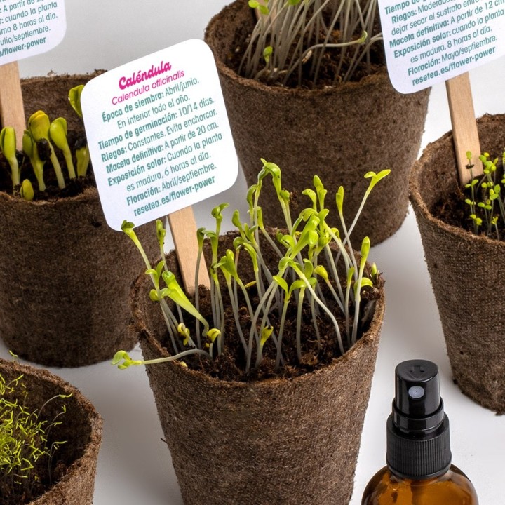 Flower Power - Kit d'autoculture de fleurs