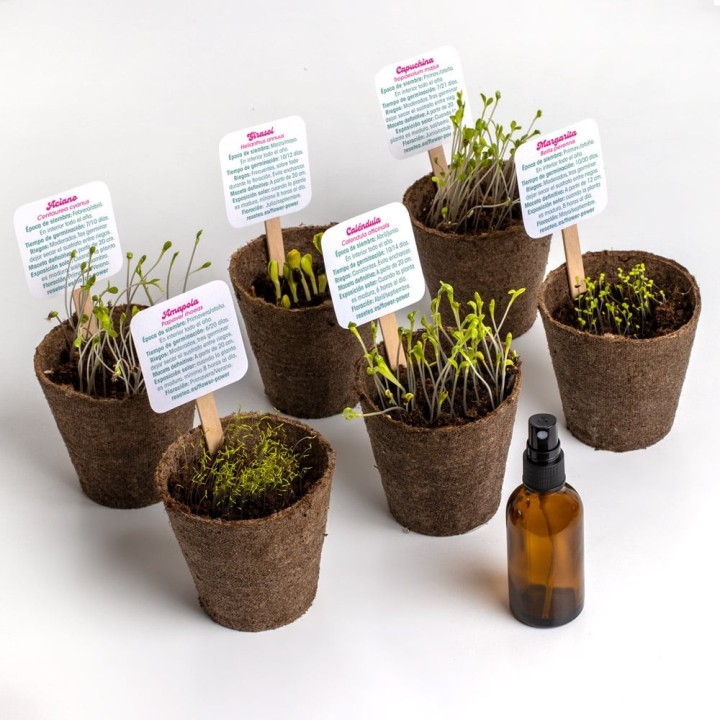 Flower Power - Kit d'autoculture de fleurs