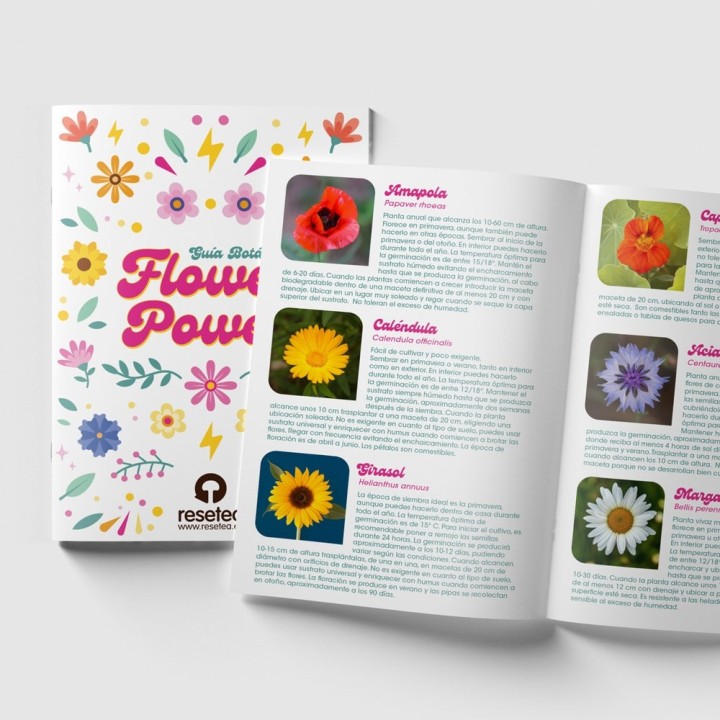 Flower Power - Kit d'autoculture de fleurs