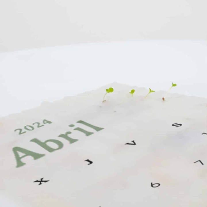Calendrier plantable 2024