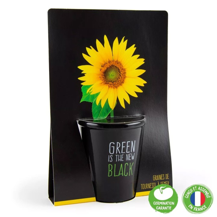 Kit Green is the new Black - Tournesol