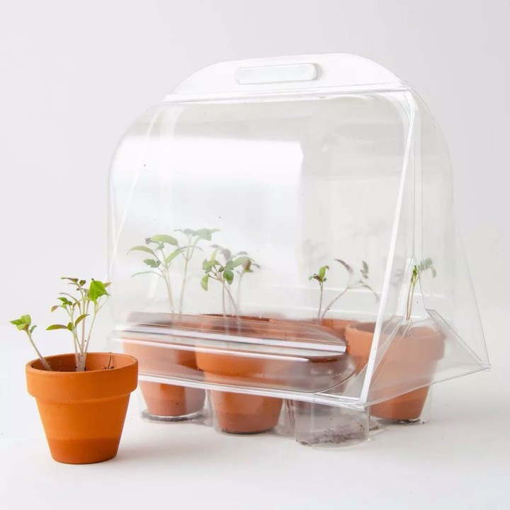 Mini serre pour tomates biologiques