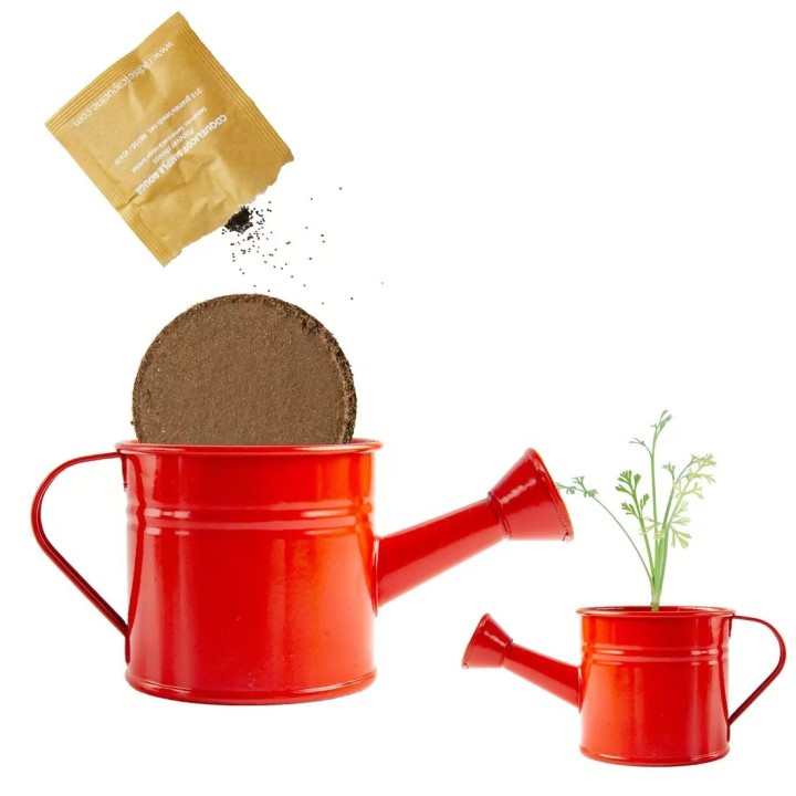 Mini arrosoir rouge avec graines de pavot