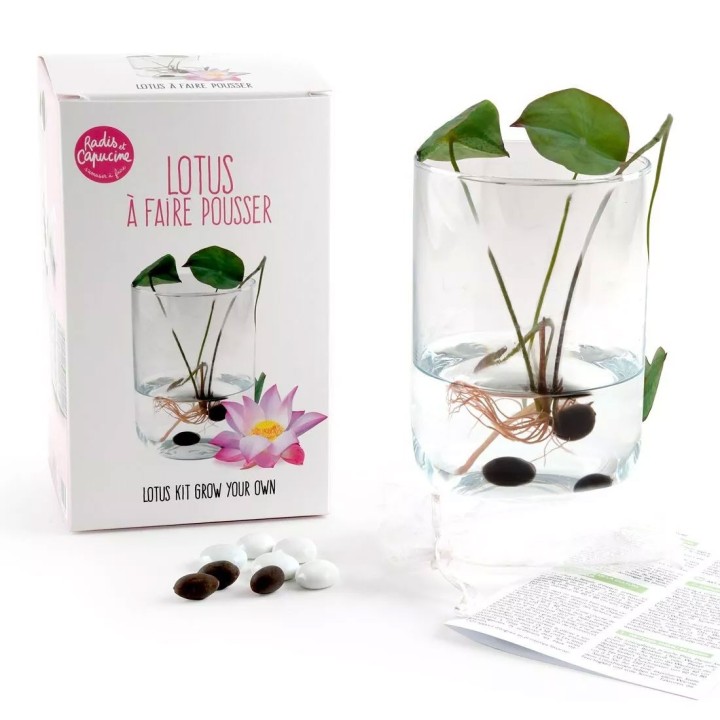 Kit pour semer le lotus