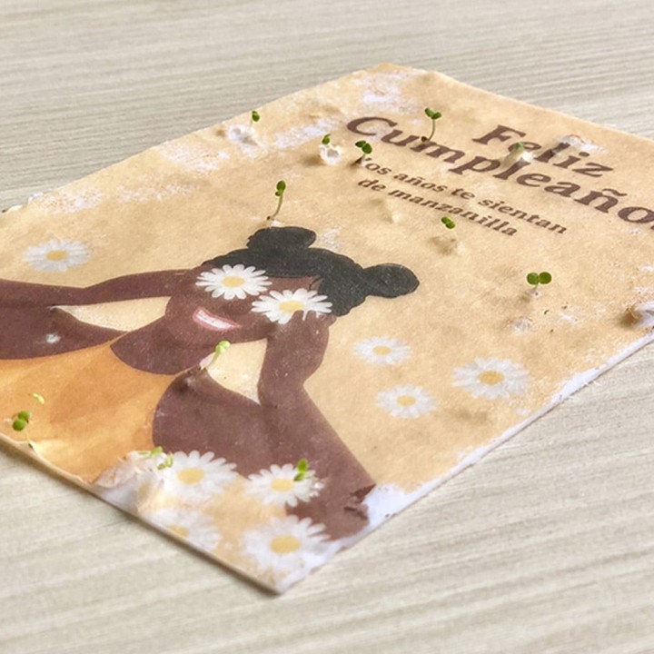 Postal Plantable – Feliz cumpleaños (con semillas de manzanilla)