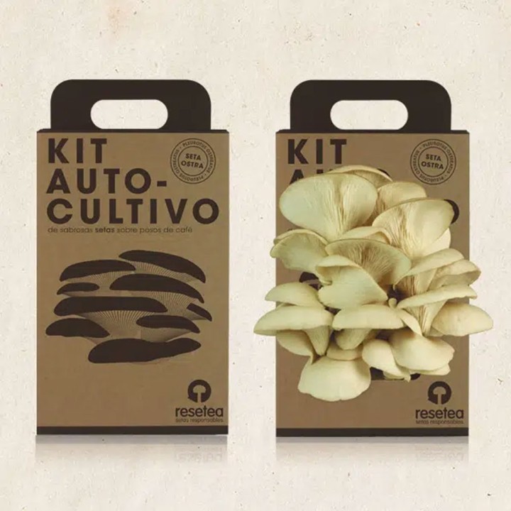 Kit d'autoculture de pleurotes