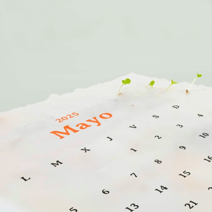 Calendrier plantable 2025