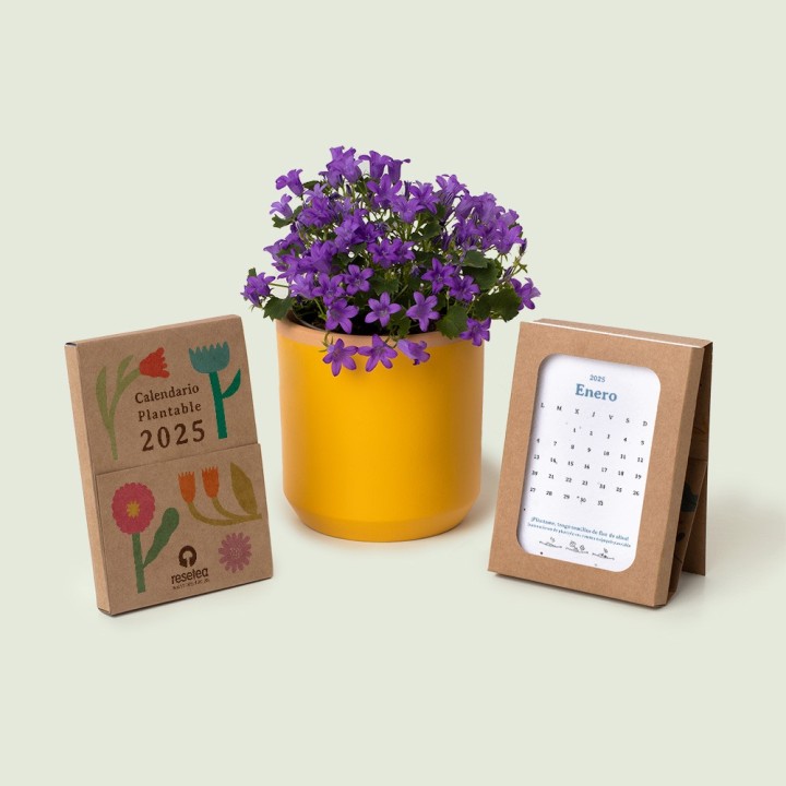 Calendrier plantable 2025
