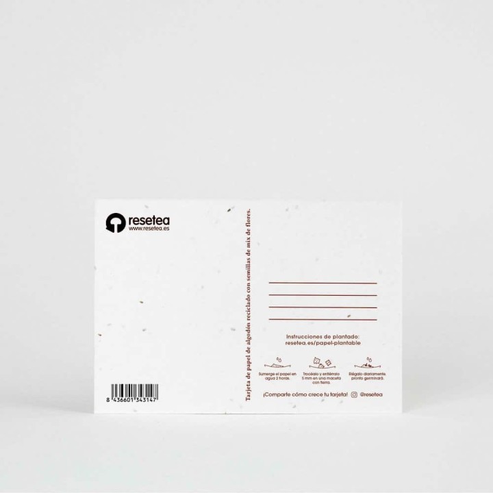 Carte postale plantable - Joyeux Noël