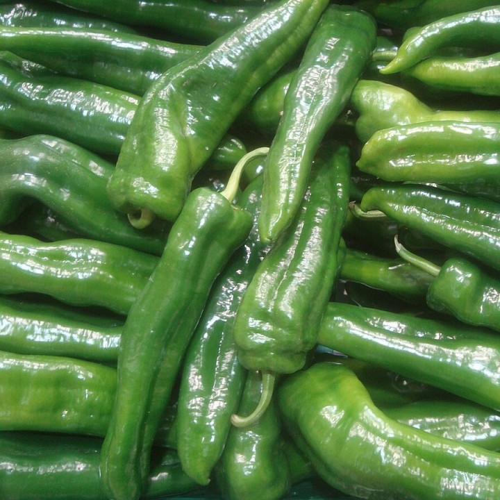 Piment vert italien - Graines