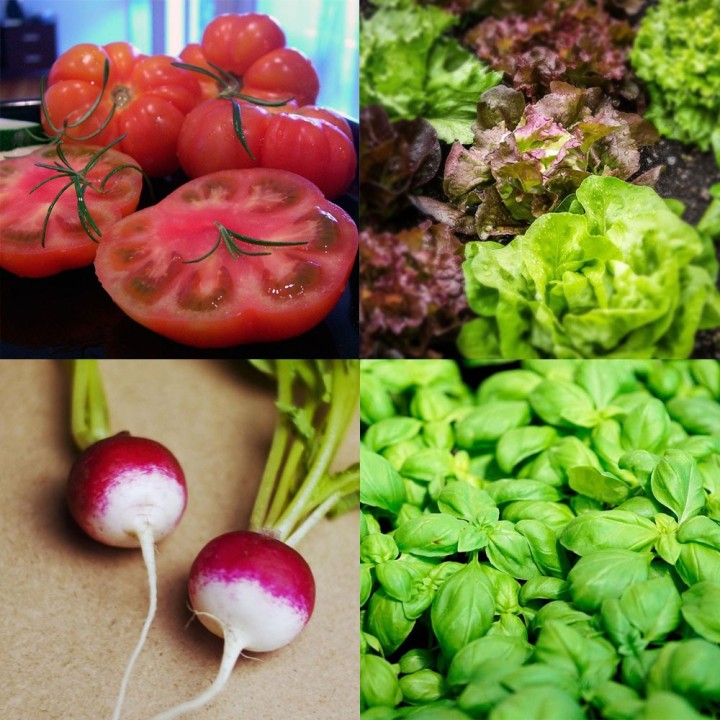 Pack Potager basique d'urgence - Graines