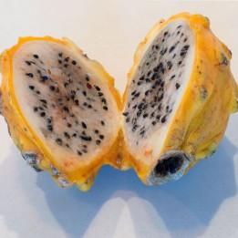 Pitahaya amarilla - Semillas