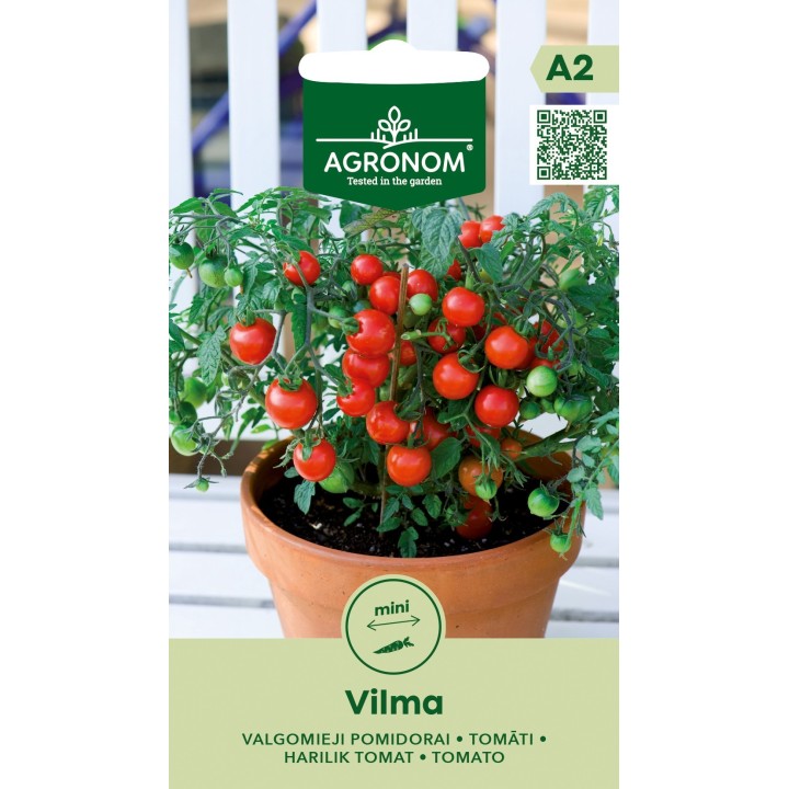Tomate Vilma - Graines