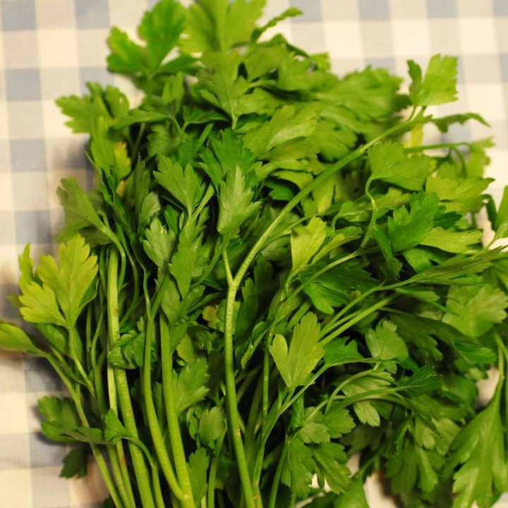 Persil plat - Graines