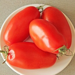 Tomate S. Marzano 2 - Graines