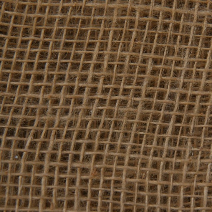 Jute - Graines