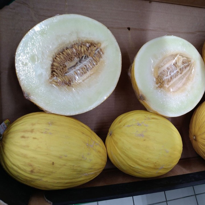 Melon Amarillo Canario - Graines