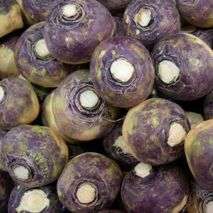 Nabicol ruso - Semillas