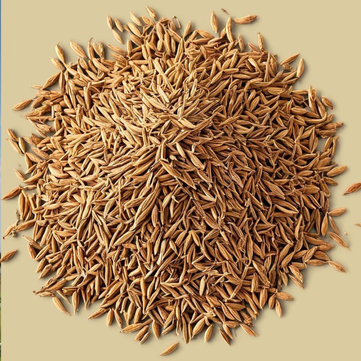 Cumin - Graines