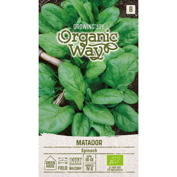 Epinard Matador ECO - Graines