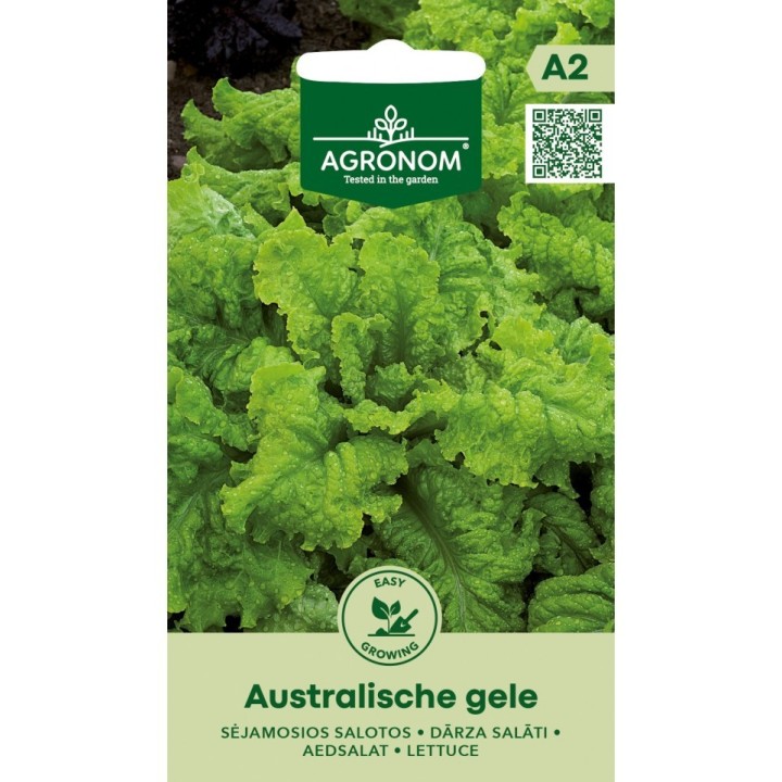 Laitue Australienne Jaune - Graines