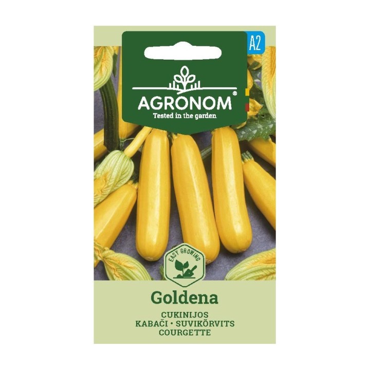 Courgette Goldena - Graines
