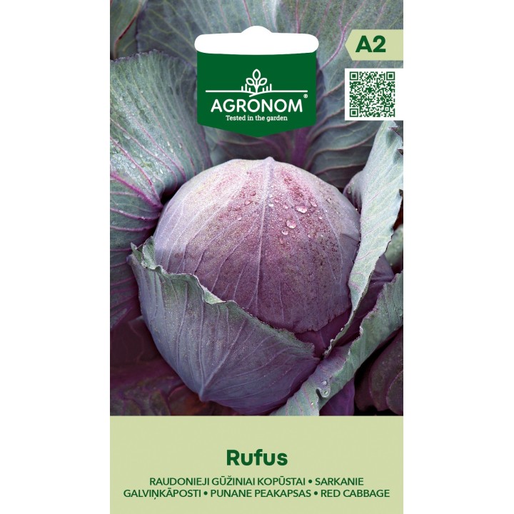 Chou rouge Rufus - Graines