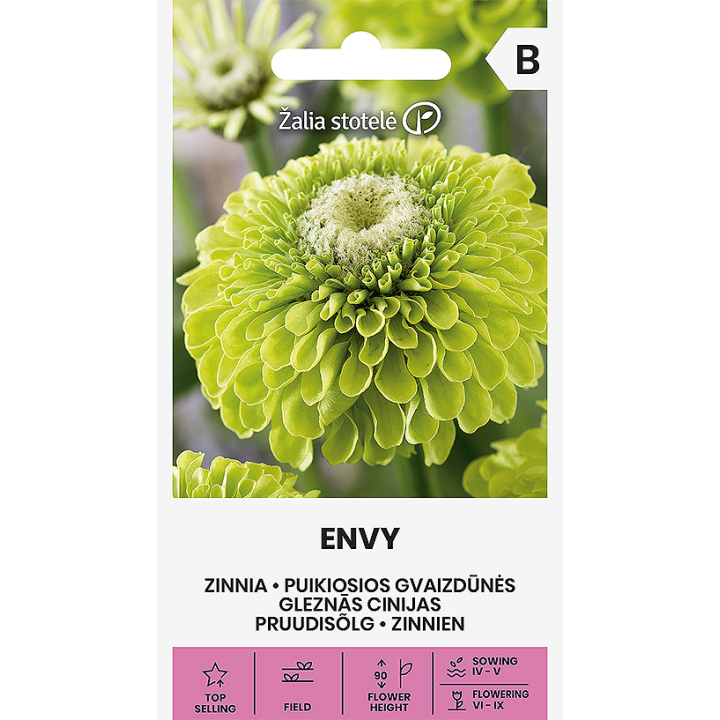 Zinnia Envy - Graines
