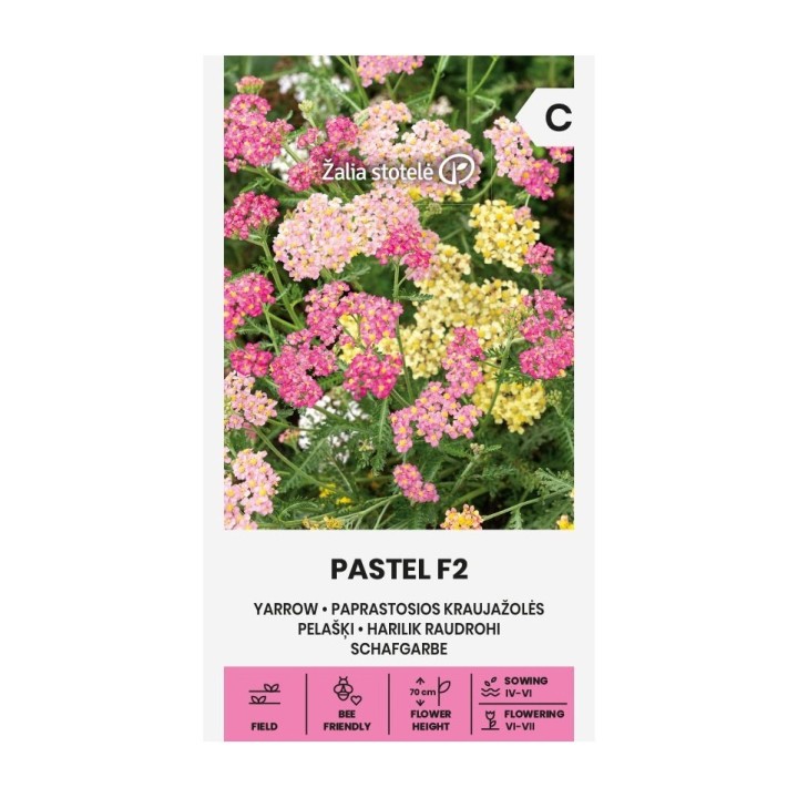 Semillas de Milenrama Summer Pastels Mix (Achillea millefolium) de colores | EntreSemillas