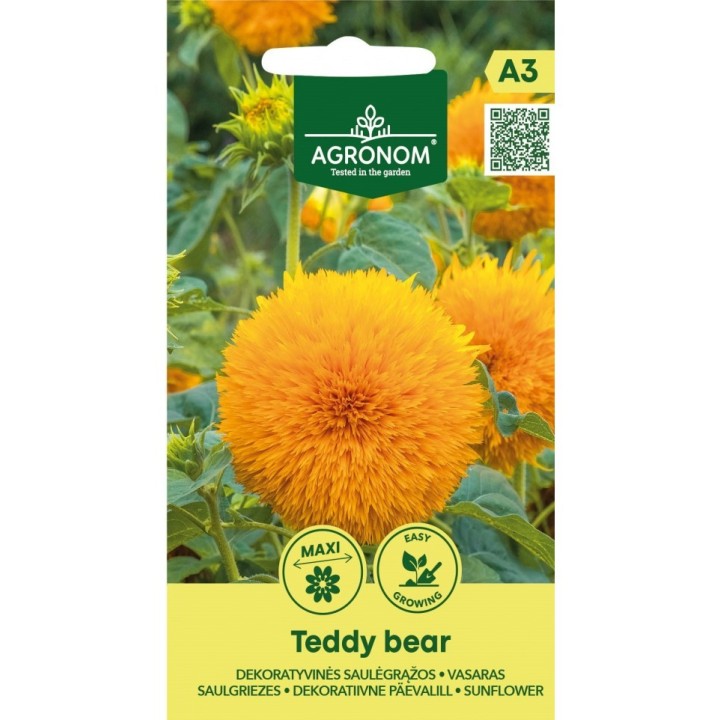 Girasol enano, Teddy Bear - Semillas