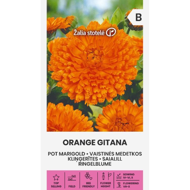 Caléndula naranja gitana - Semillas