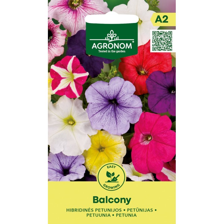 Petunia de balcon - Graines