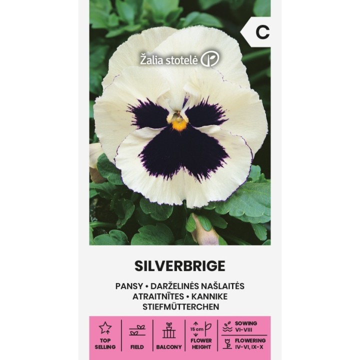 Pensamiento Silverbride - Semillas