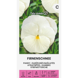 Pensamiento Firnenschnee - Semillas