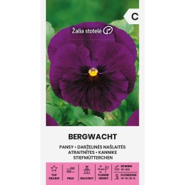 Pensee Bergwacht - Graines