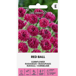 Bleuet rouge Red Ball - Graines