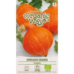 Calabaza Hokkaido naranja - Semillas