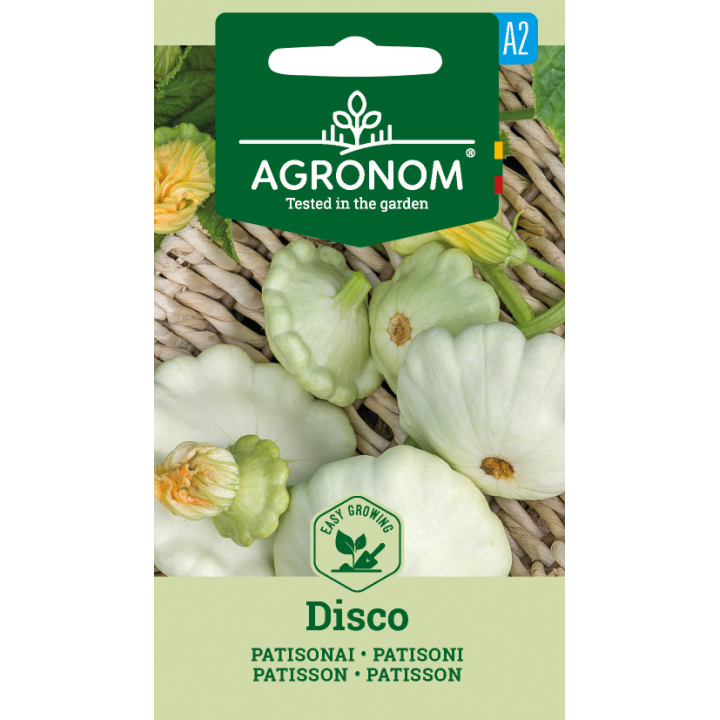 Calabaza Patisson Disco - Semillas
